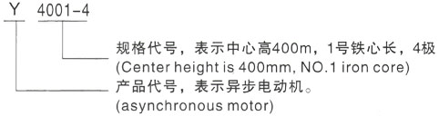 西安泰富西玛Y系列(H355-1000)高压YR5603-6三相异步电机型号说明